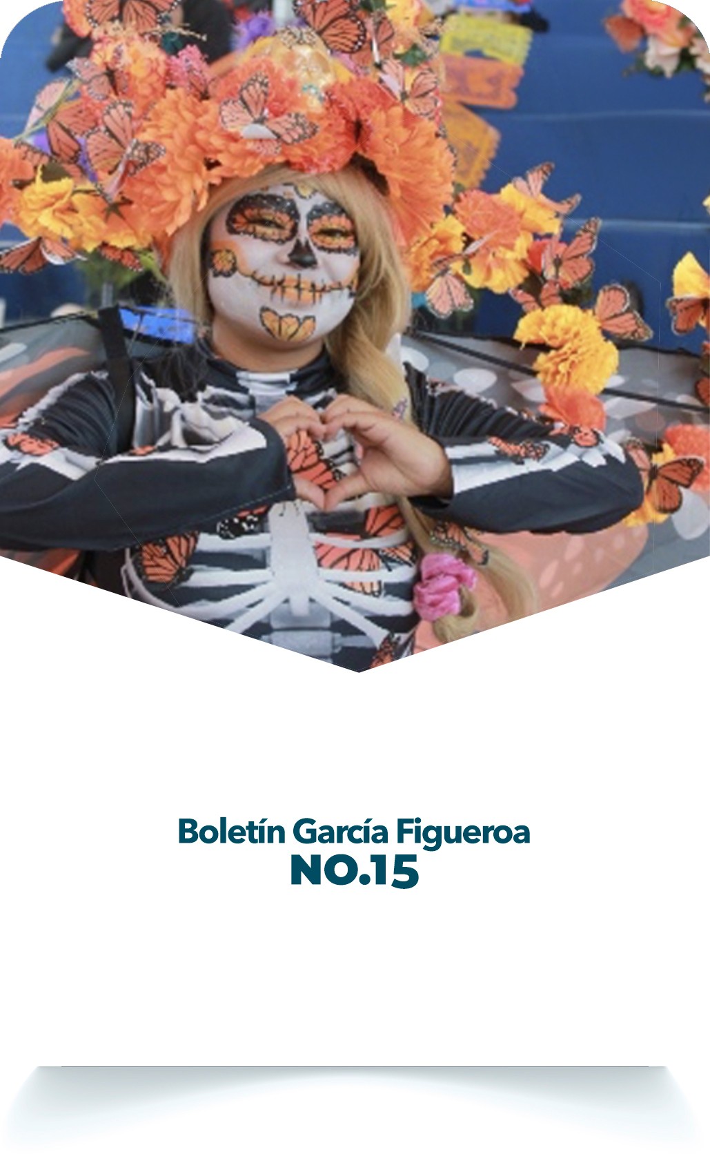 Boletín 15