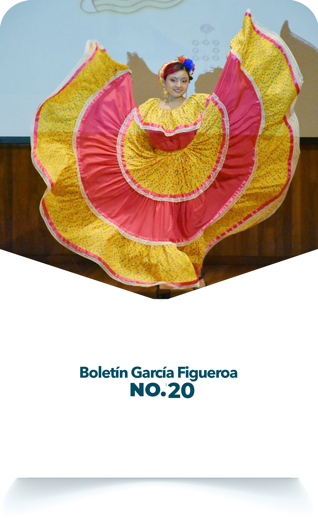 Boletín 20